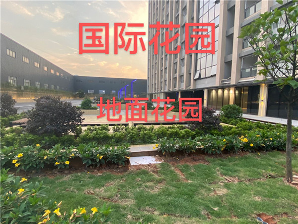 東莞厚街汀山小產(chǎn)權(quán)房花園小區(qū)【國際花園】6棟500套封閉式花園小區(qū) 地下車庫大型花園 首付三成  4980元/㎡起(圖文)