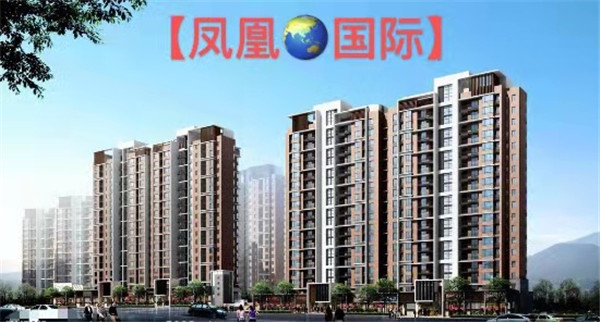 東莞鳳崗金鳳凰小產權房新樓盤【鳳凰國際】出售 4棟280套統建樓 有停車場 有天然氣  8500元/m2(圖文)