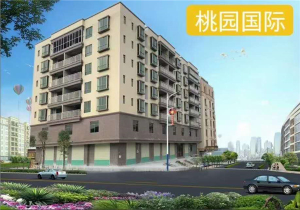 東莞橫瀝小產權房最新樓盤【桃園國際】開盤 2棟規模 地下停車場 三房僅售27萬起 單價2880元/㎡起 (圖文)