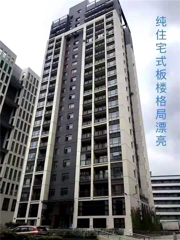 深圳龍崗平湖華南城附近統(tǒng)建樓新樓盤【輔城公館】出售 四棟紅本統(tǒng)建樓 地下停車場(chǎng)、天然氣管道 首付25萬(wàn)起?(圖文)