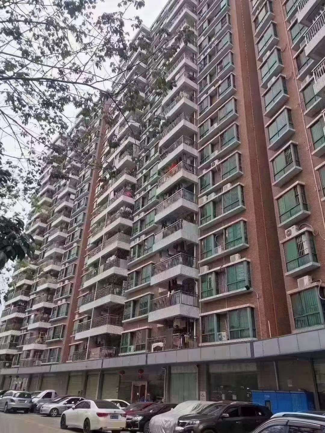 深圳龍華區觀瀾統建樓4棟新樓盤【紫匯花園】帶停車場通燃氣可落深戶 9580元/平起